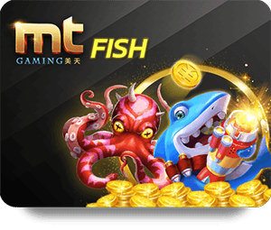 Exploring Nova88 Sòng Bạc Vàng Live Casino Features