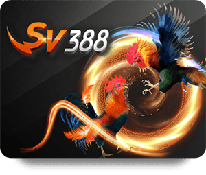 1xBet Game Bài Hot: Khám phá thế giới bài thú vị và sôi động!